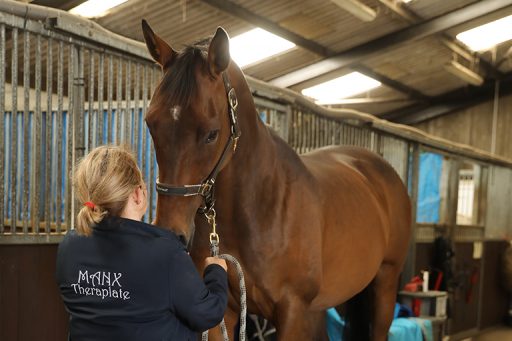 Manx Theraplate