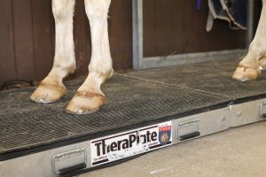 Manx Theraplate
