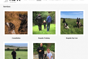 K9 X